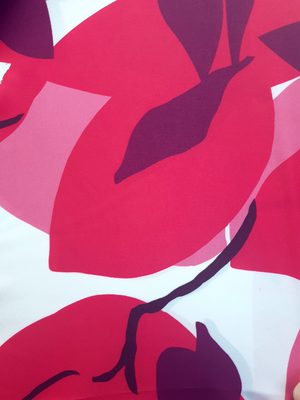 SuperSoft Imprimat 51712 D1